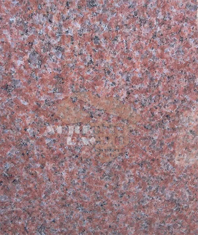 Red Forsan